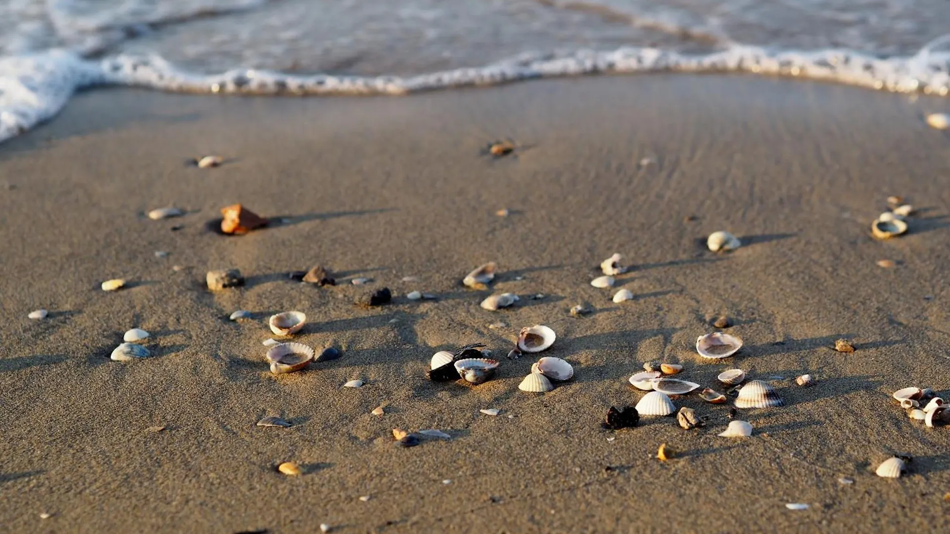 Beachfront Condo Sea View - Airco - Covered Private Parking - Beach Place Bibione Italy